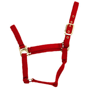 Adjustable Nylon Halter With Snap/Cabestro De Nailon Ajustable Con Broche