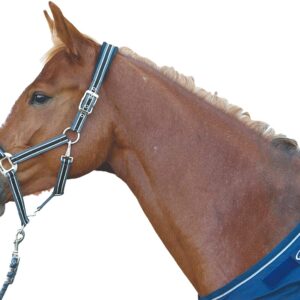 Pro-Fit Breakaway Halter/ Cabestro separable