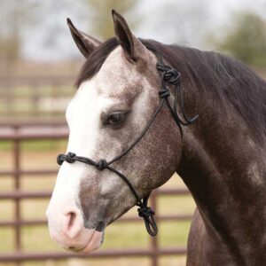 Training Rope Halter/ Cabestro de cuerda de entrenamiento